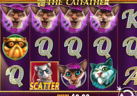 The Catfather by Pragmatic Play